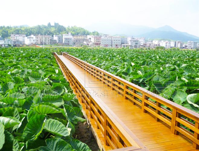 厦门嘉材木结构工程